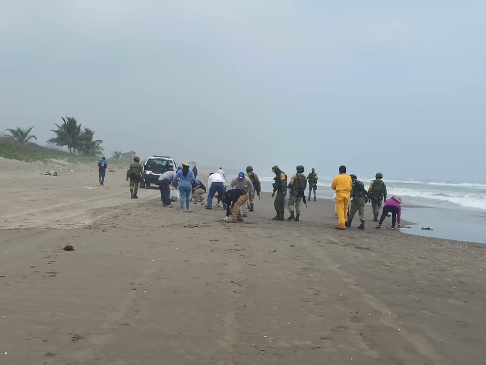 Iniciaron trabajos de limpieza en campamento tortuguero Vida Milenaria en Tecolutla