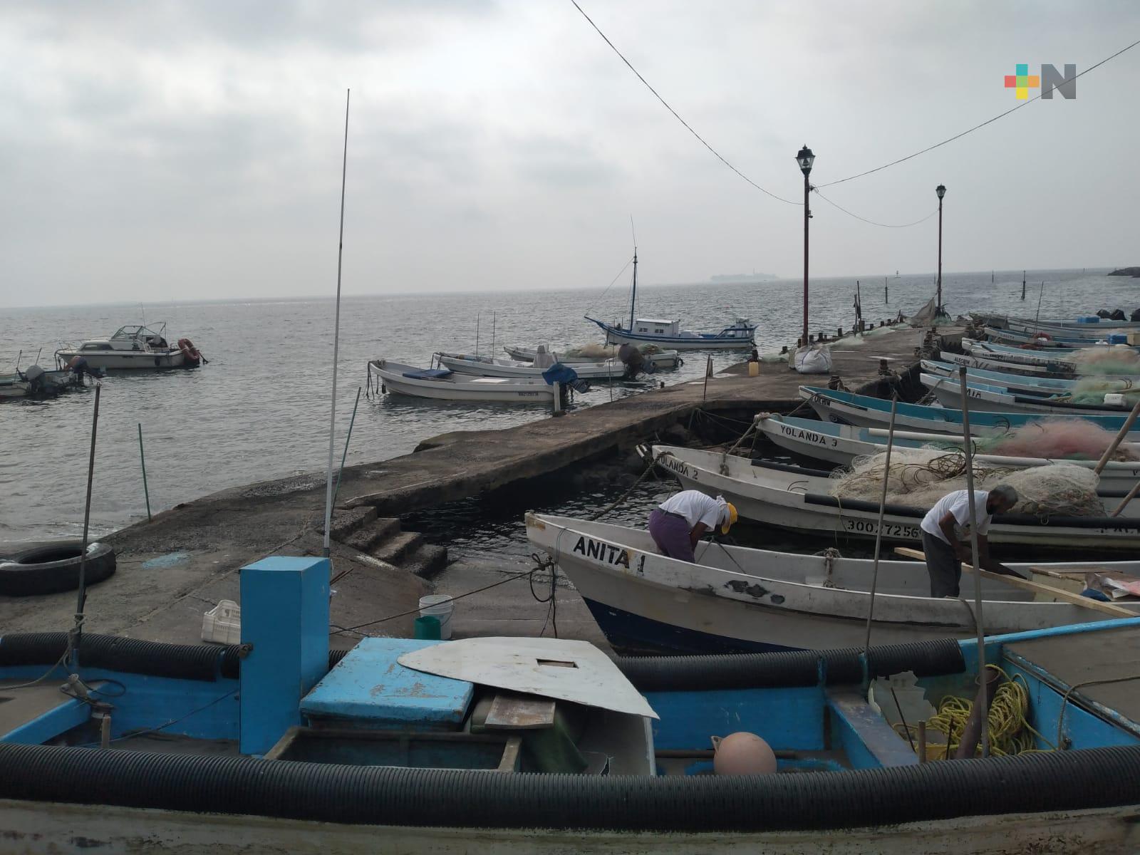 Pescadores del municipio de Veracruz descartan aumento del precio en productos del mar