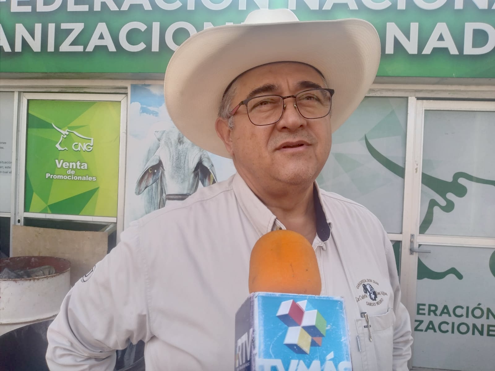 Altas temperaturas impactan de manera negativa a la ganadería veracruzana