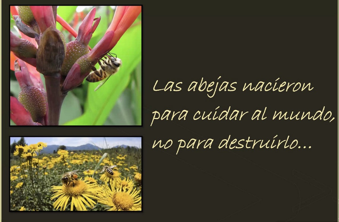 Abejas, indicadores de la salud del planeta