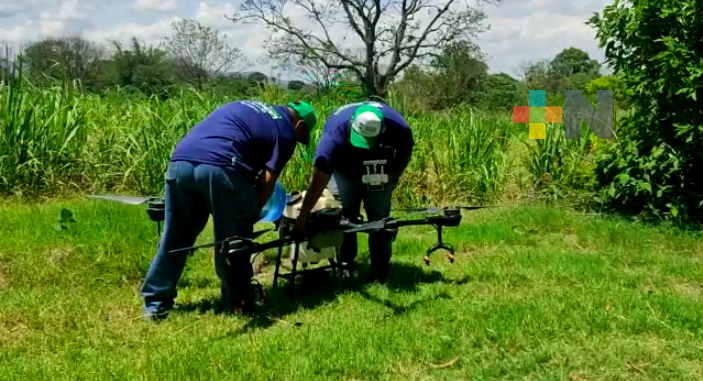 Con drones combatirán plagas que afectan cañales de Veracruz