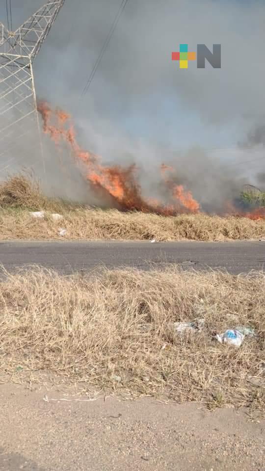 Liquidado, incendio de pastizal en Minatitlán