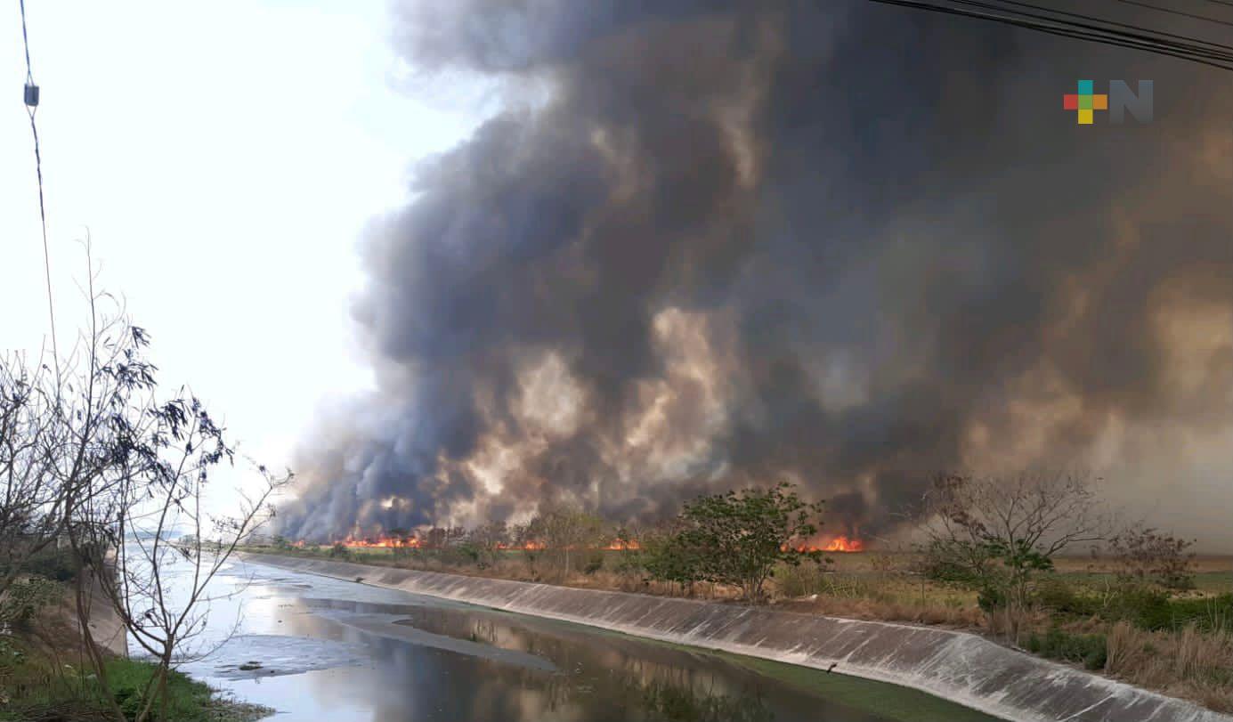 Liquidado el incendio de pastizal en Boca del Río