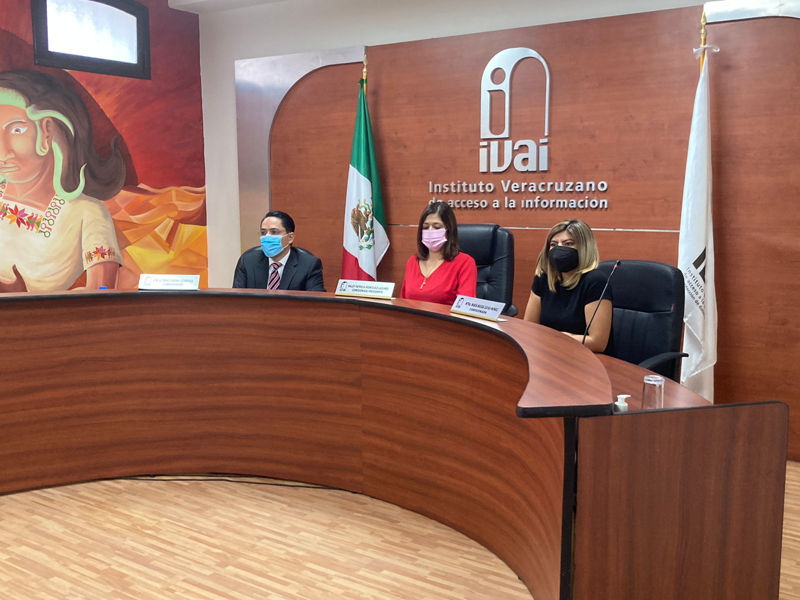 IVAI emitió convocatoria para integrar Consejo Consultivo de Gobierno Abierto