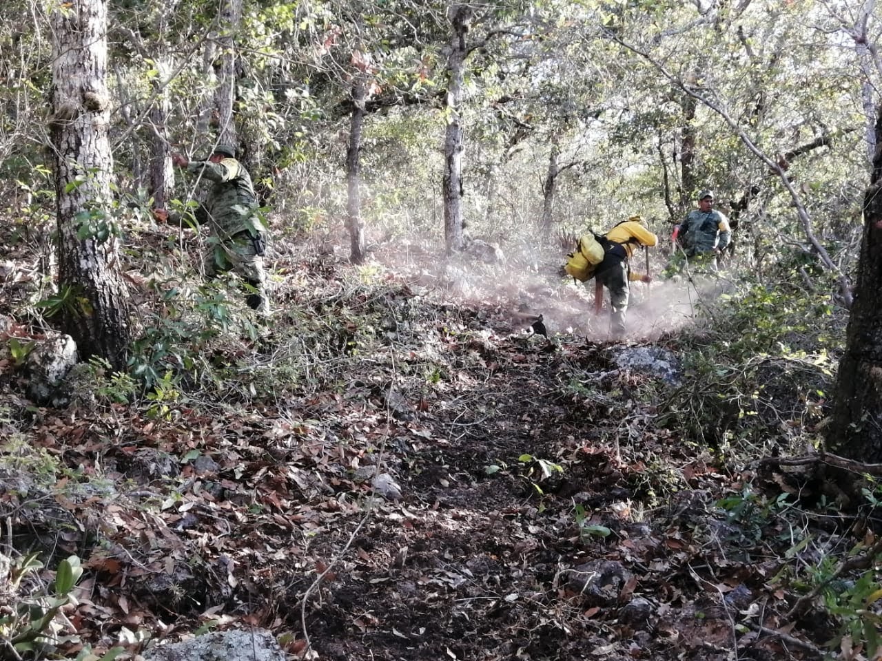 Déficit de lluvias y altas temperaturas mantienen latente riesgo de incendios forestales en territorio veracruzano