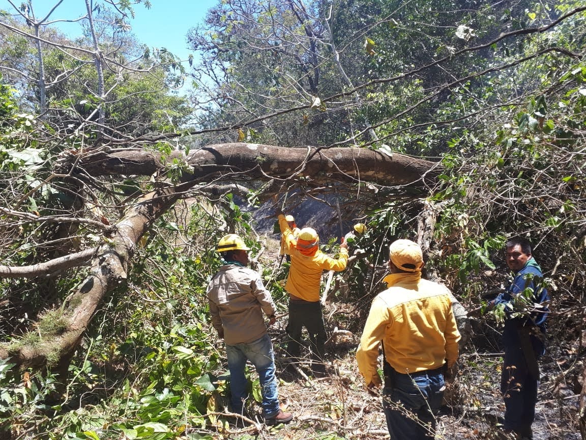 A pesar de haber terminado la temporada de incendios, Sedema se mantiene alerta por canícula