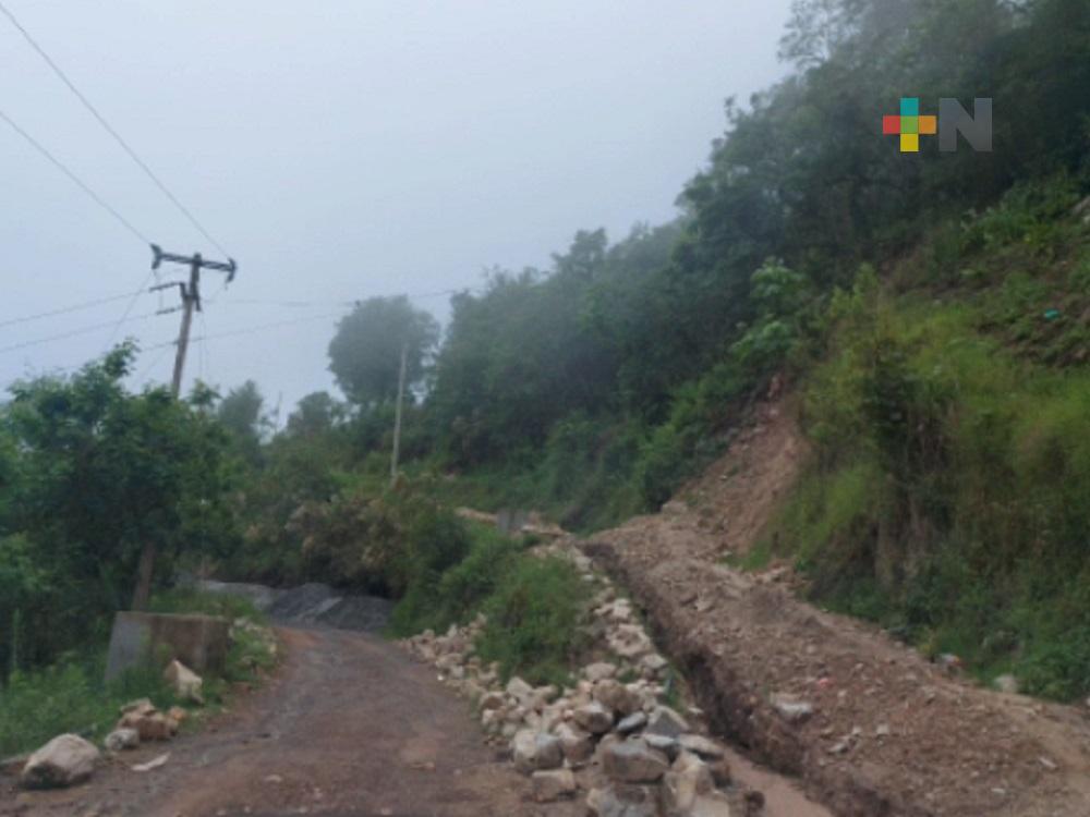 Lluvia benefició cultivos de maíz, aunque dañó caminos rurales de Ilamatlán