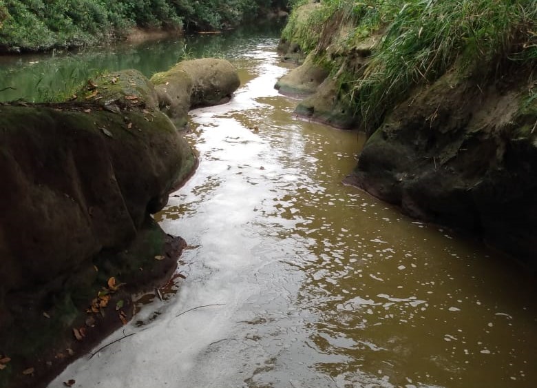 El río Bobos sufre de contaminación lo que genera mortandad de especies acuáticas