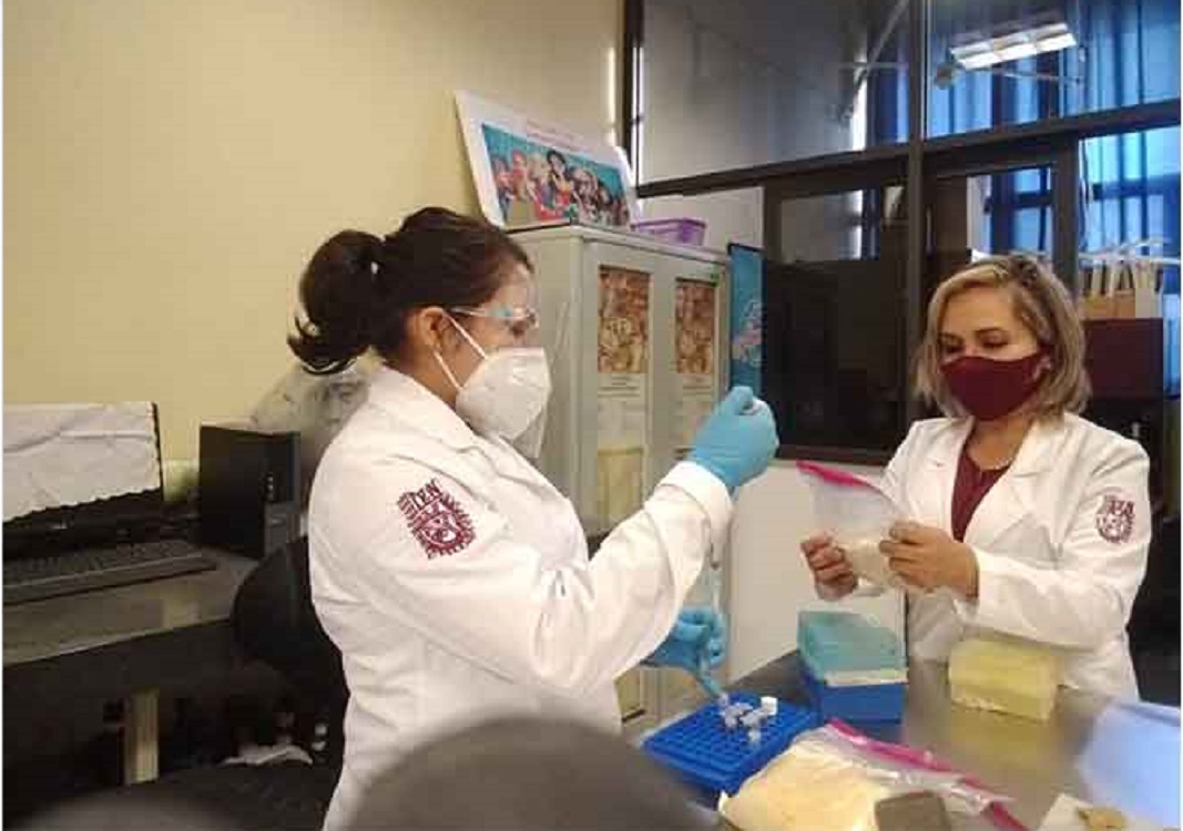 Estudiadas, 7.1 millones de personas durante pandemia por COVID-19 en México