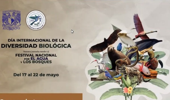 Semarnat y UNAM preparan tercera jornada rumbo al festival nacional por el agua y los bosques