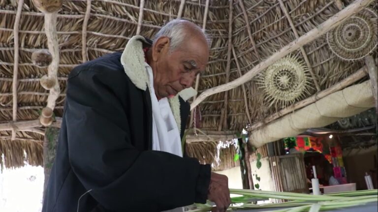 Testimonios de vida y narración oral, en “Cultura con Ambiente»