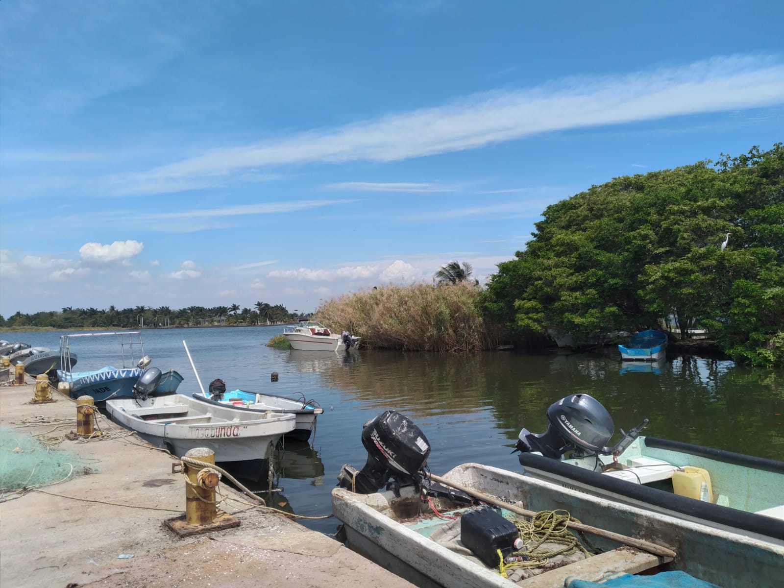Sector pesquero de Boca del Río vive una de sus peores crisis; captura de especies disminuyó
