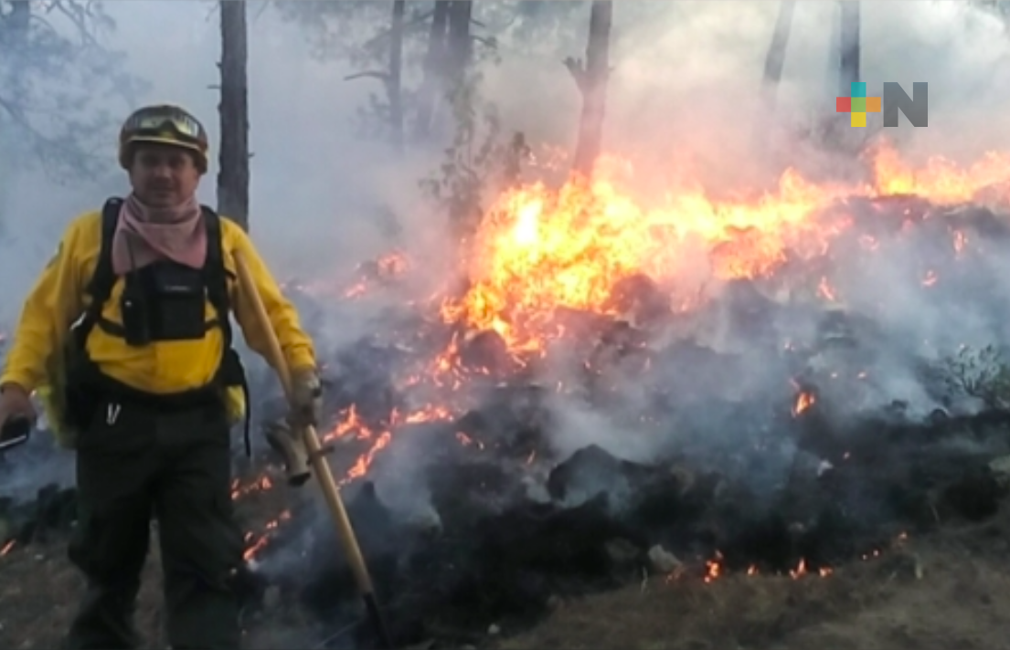 Conafor y Protección Civil combatieron incendio forestal en Huayacocotla