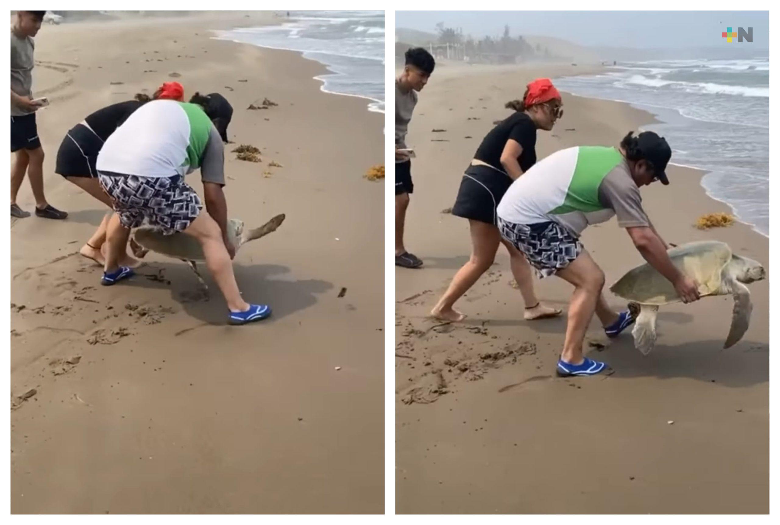 No molestar a las tortugas marinas cuando desoven, piden autoridades