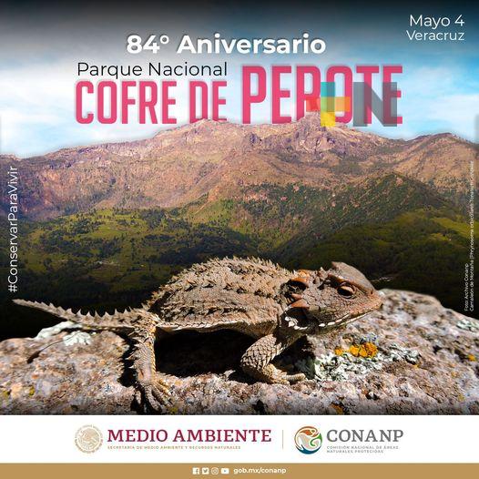 84 aniversario del Parque Nacional Cofre de Perote