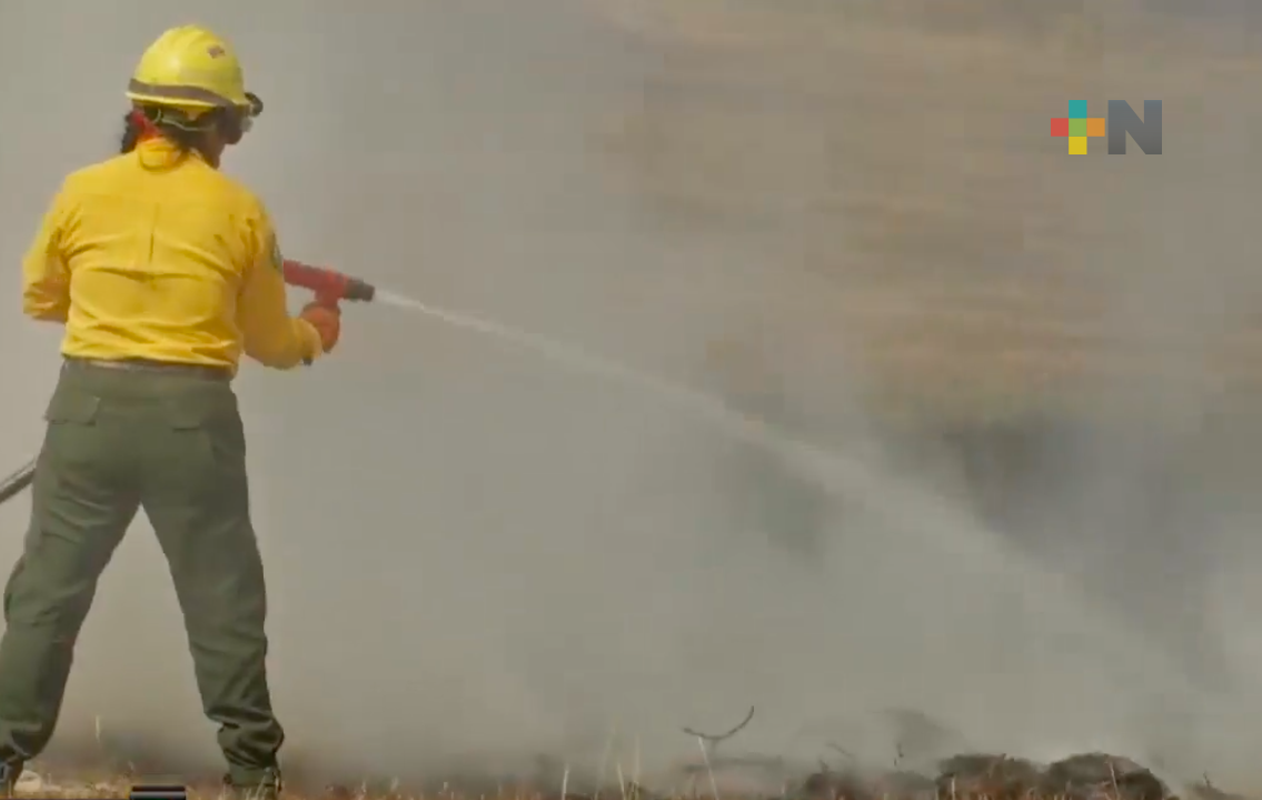 Incrementan incendios de pastizales en Xalapa por la altas temperaturas