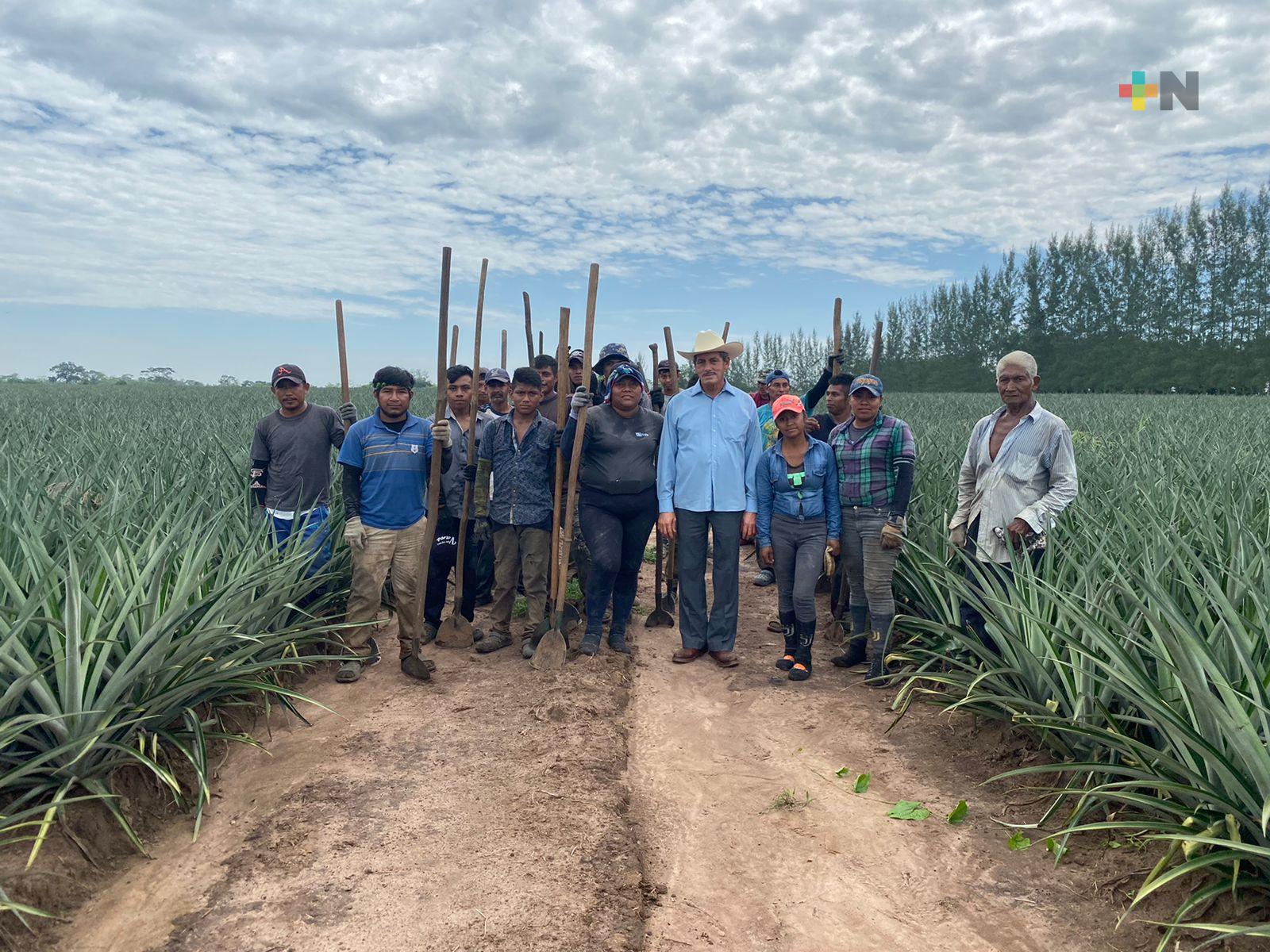 Abelino Barrientos Castro llevará la Cuarta Transformación a Isla