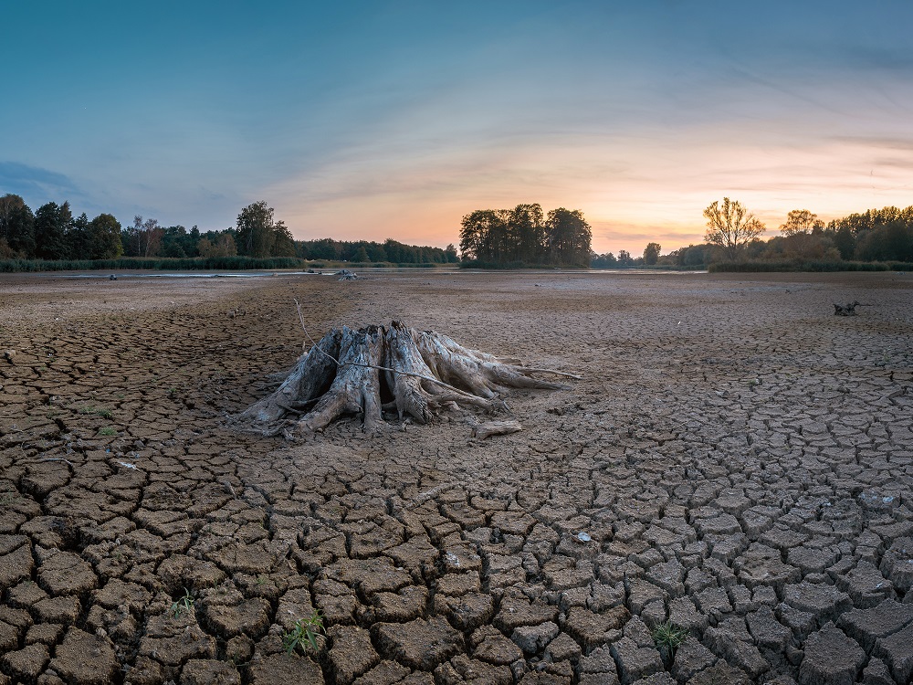 Acciones contra reloj para salvar al planeta del deterioro