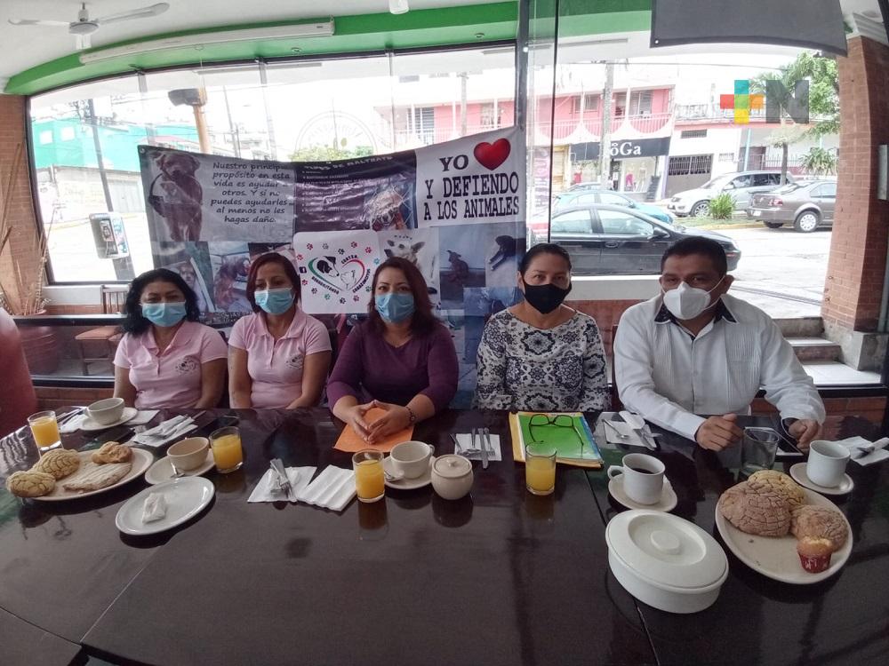 Animales en situación de calle continúan siendo víctimas de maltrato en Coatzacoalcos