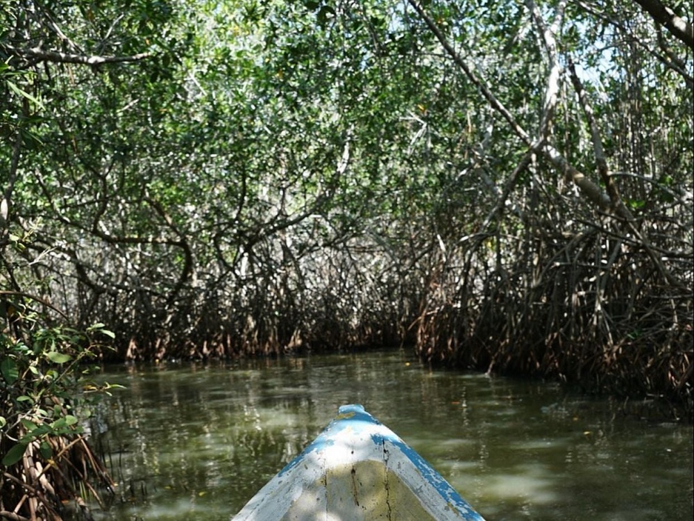 Reforzada vigilancia de las trece áreas naturales protegidas de Veracruz