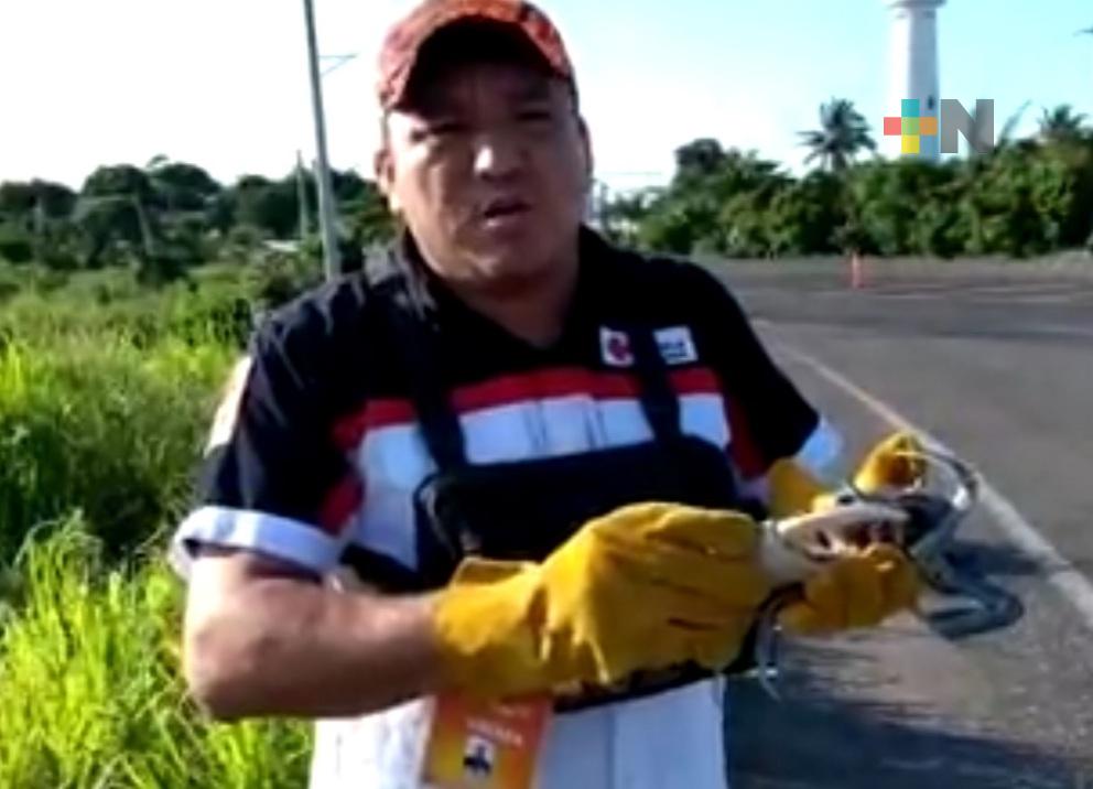 Cruz Roja inicia operativo para salvar al cangrejo azul en municipio de San Rafael