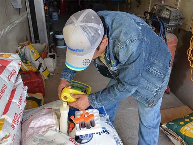 Desarrolla IPN bioestimulante para mejorar cultivos