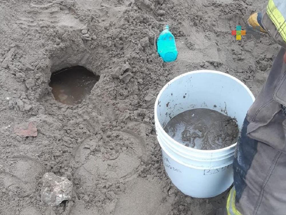 En Coatzacoalcos, elementos de Protección Civil resguardaron huevos de tortuga