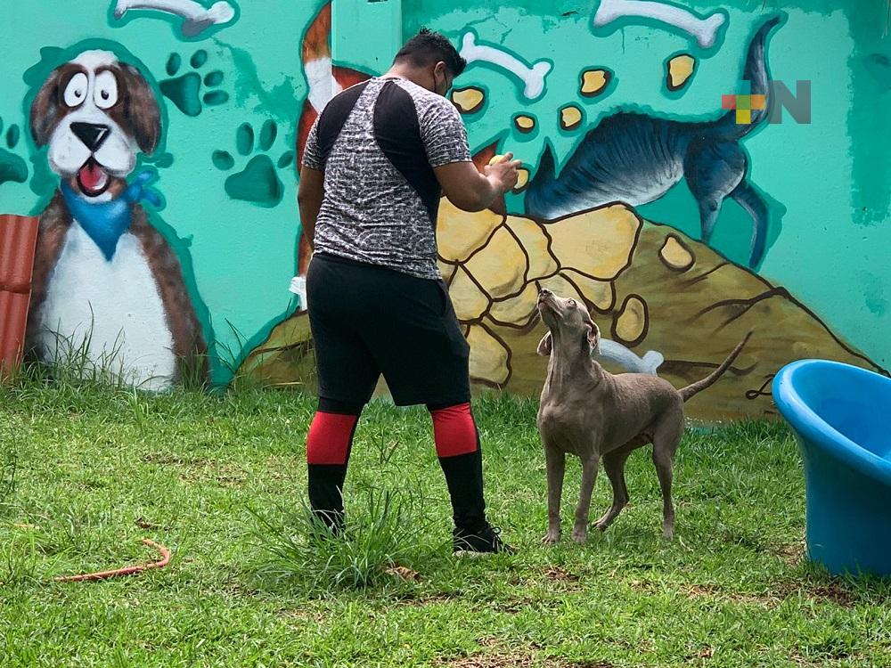 Hotel para perros de Coatzacoalcos fomenta el cuidado de las mascotas