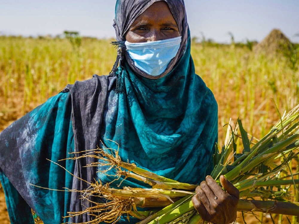 La tercera ola de COVID-19 en África es “increíblemente preocupante”: OMS