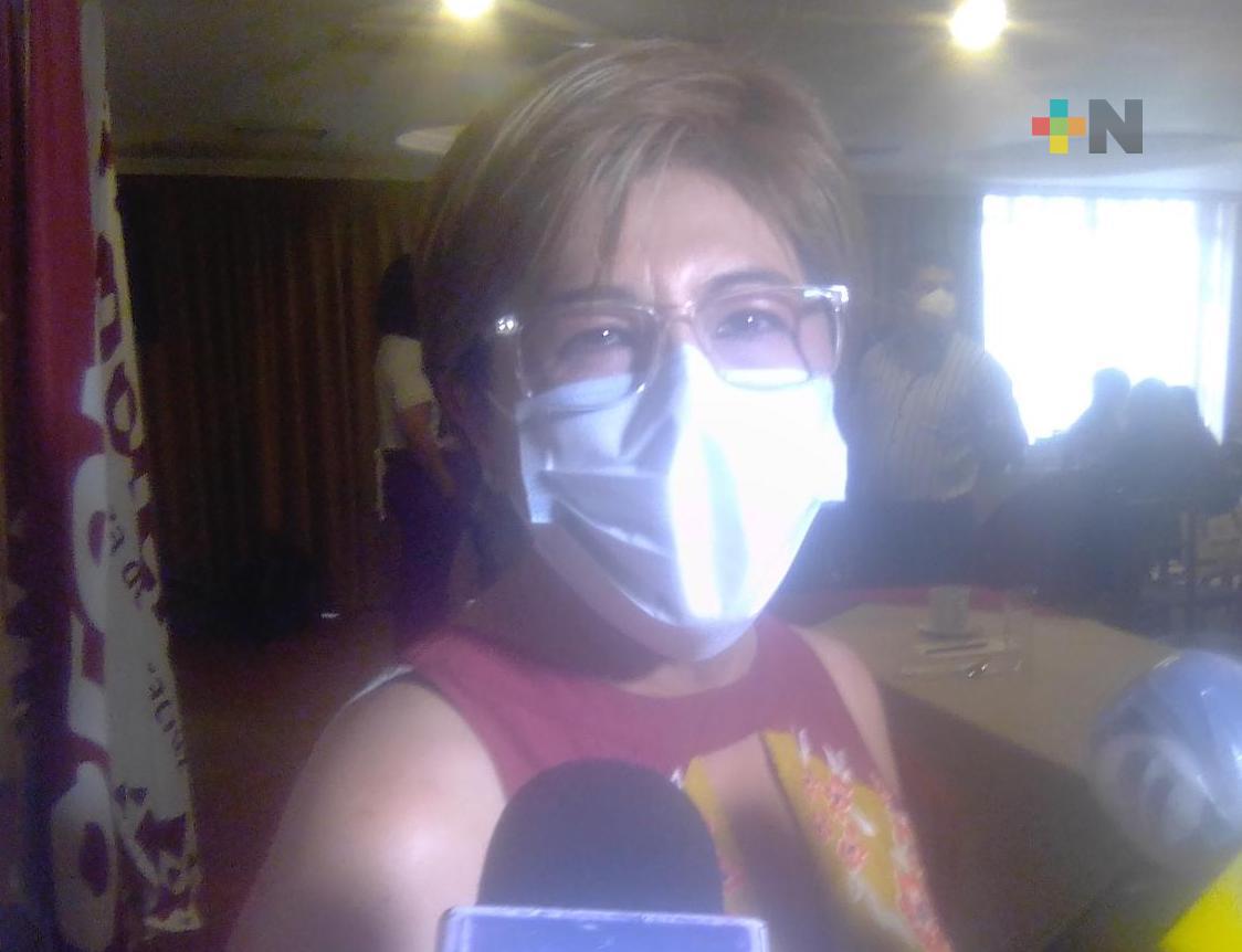 Modificación de diputados plurinominales, tema que abordará diputada electa Rosa María Hernández