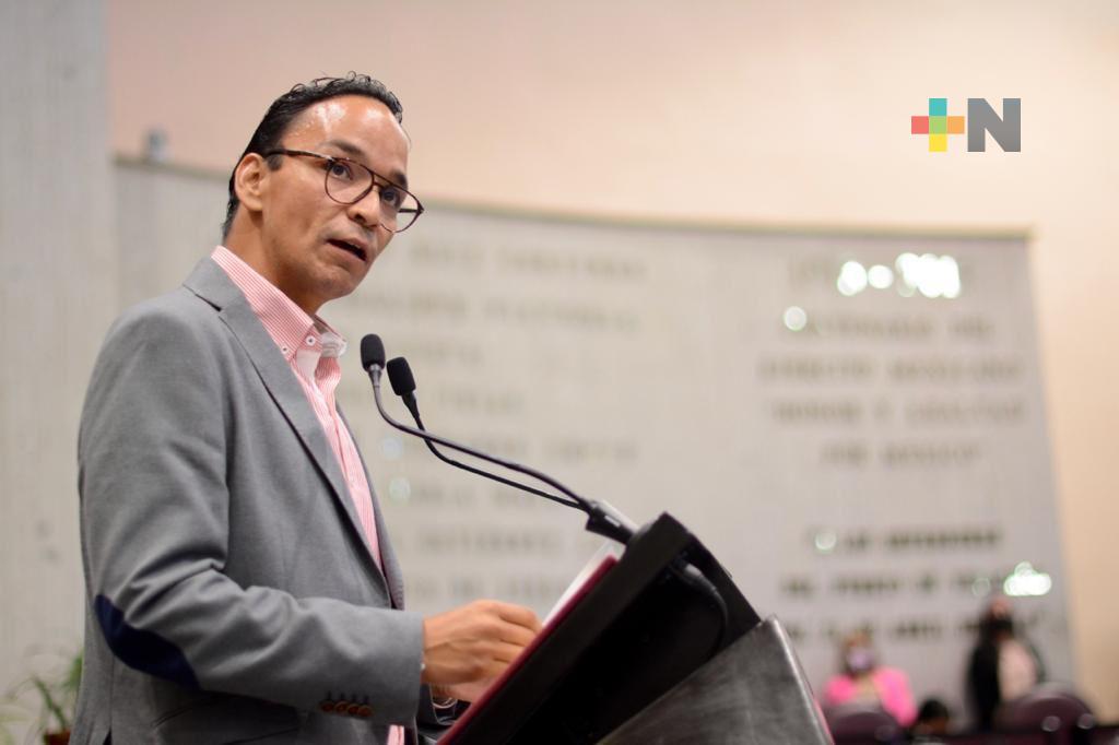 Diputado propone que regresen las peleas de gallos en Veracruz