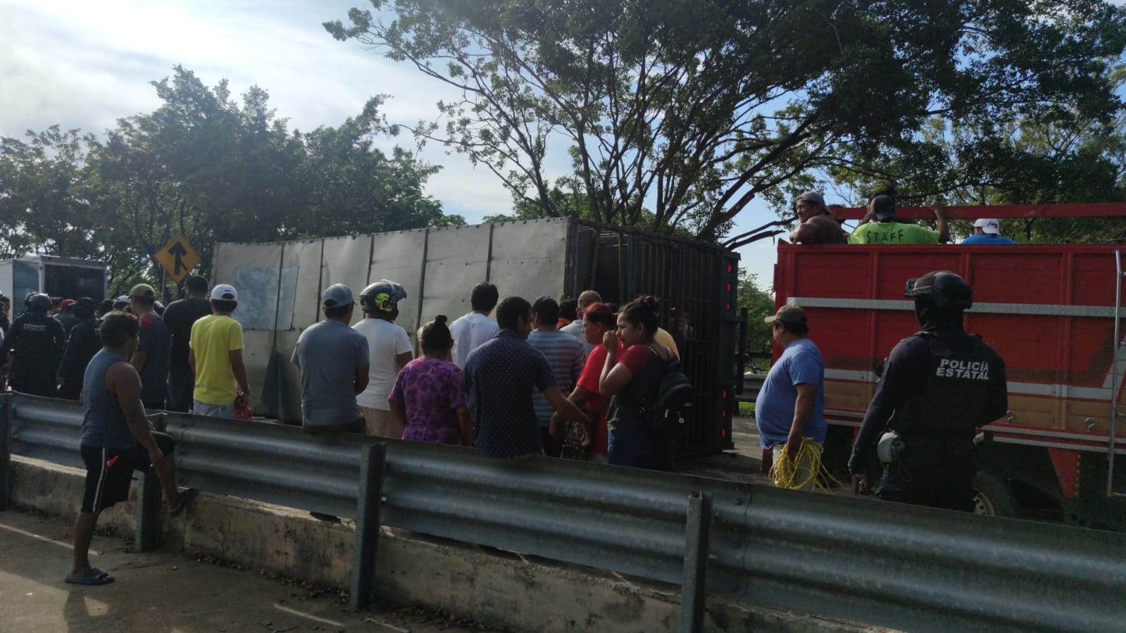Tráiler que transportaba cerdos volcó en la carretera Cosoleacaque-Nuevo Teapa; hubo actos de rapiña