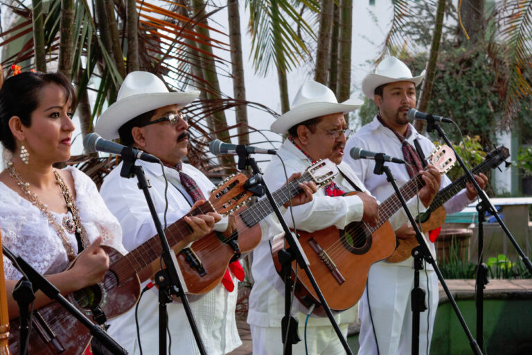 Convocan a cursar la segunda emisión de  “Vertientes del Son Jarocho”
