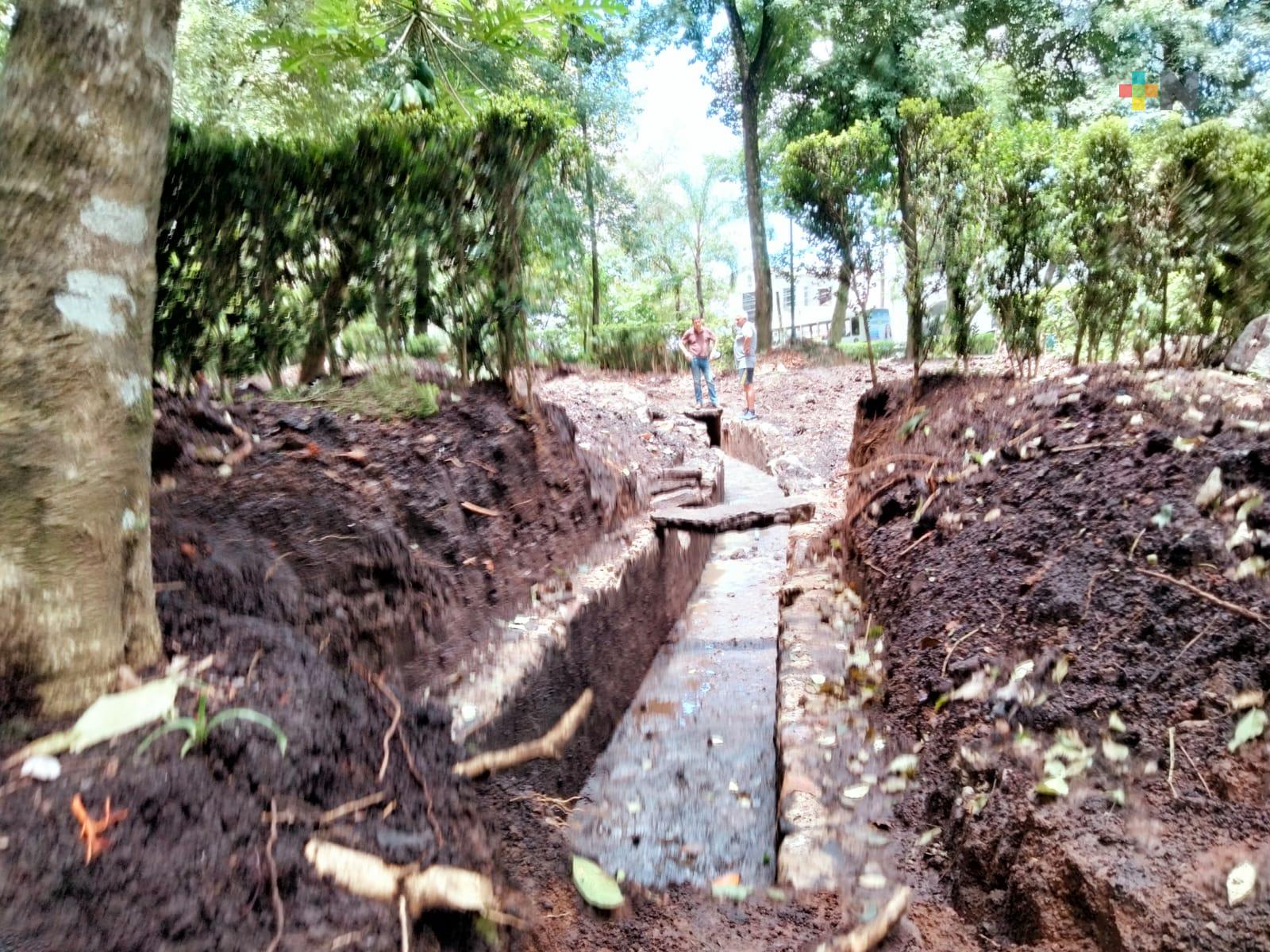 Igual que el canal de agua, podrían rescatarse manantiales del parque Los Berros de Xalapa