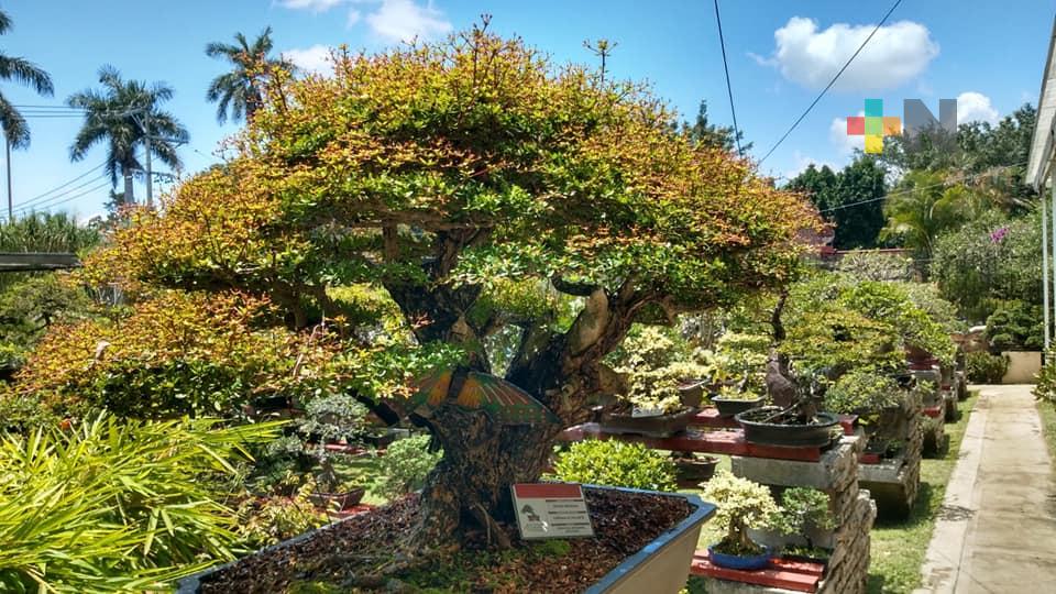 Región Altas Montañas, listo para recibir a turistas este verano
