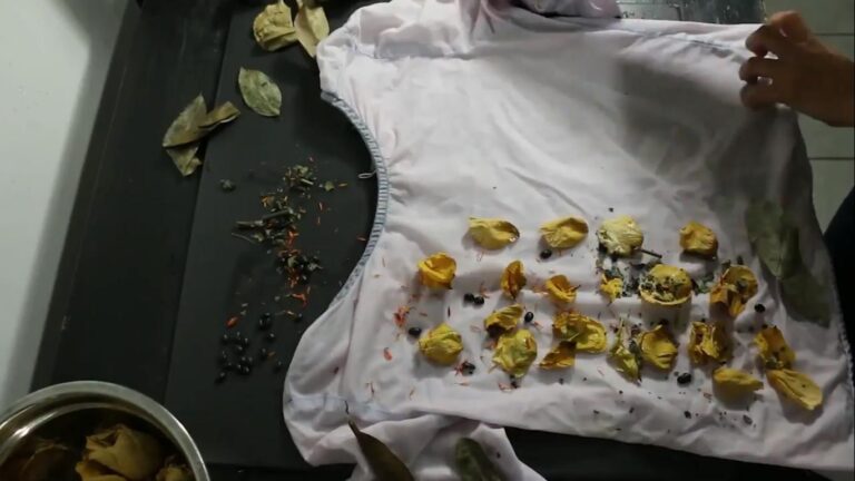 Presenta IVEC actividades virtuales sobre cultura tradicional, en “Cultura con ambiente”