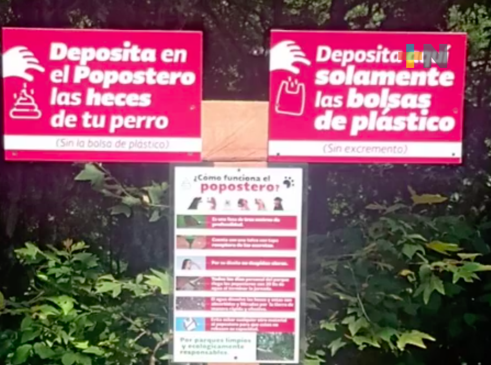 Instalación de poposteros benefician a la comunidad