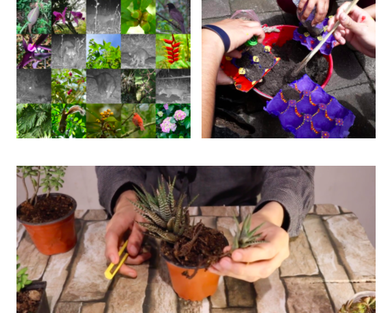 El Jardín de las Esculturas presenta Natura y cultura del JEX