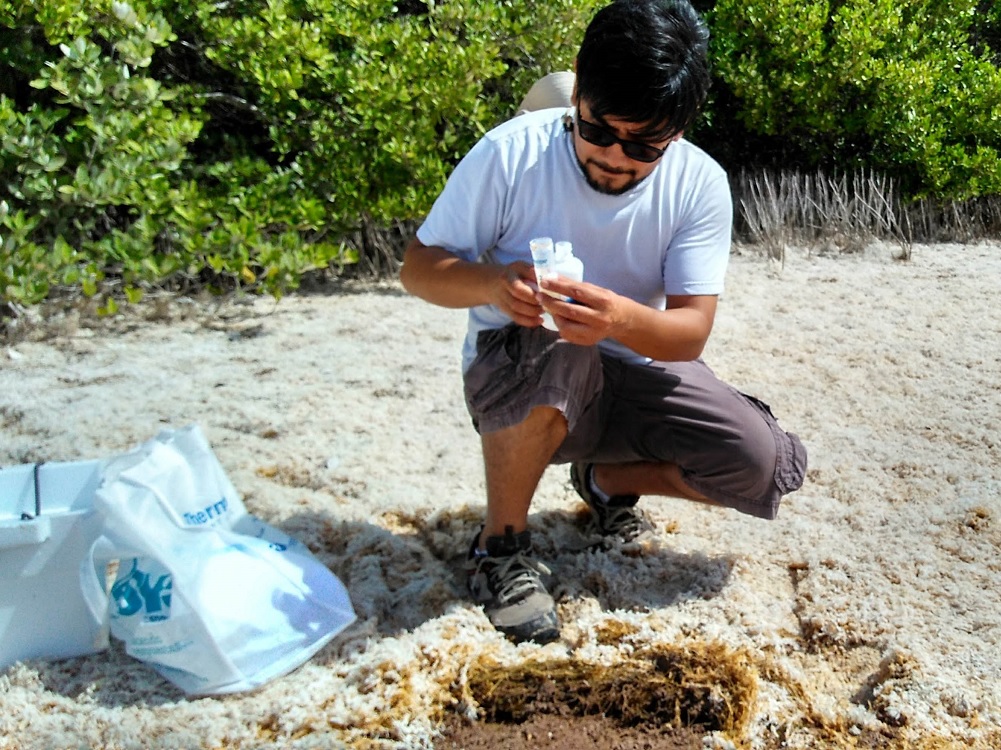 Con Observatorio Genómico, identifican microorganismos para combatir contaminación