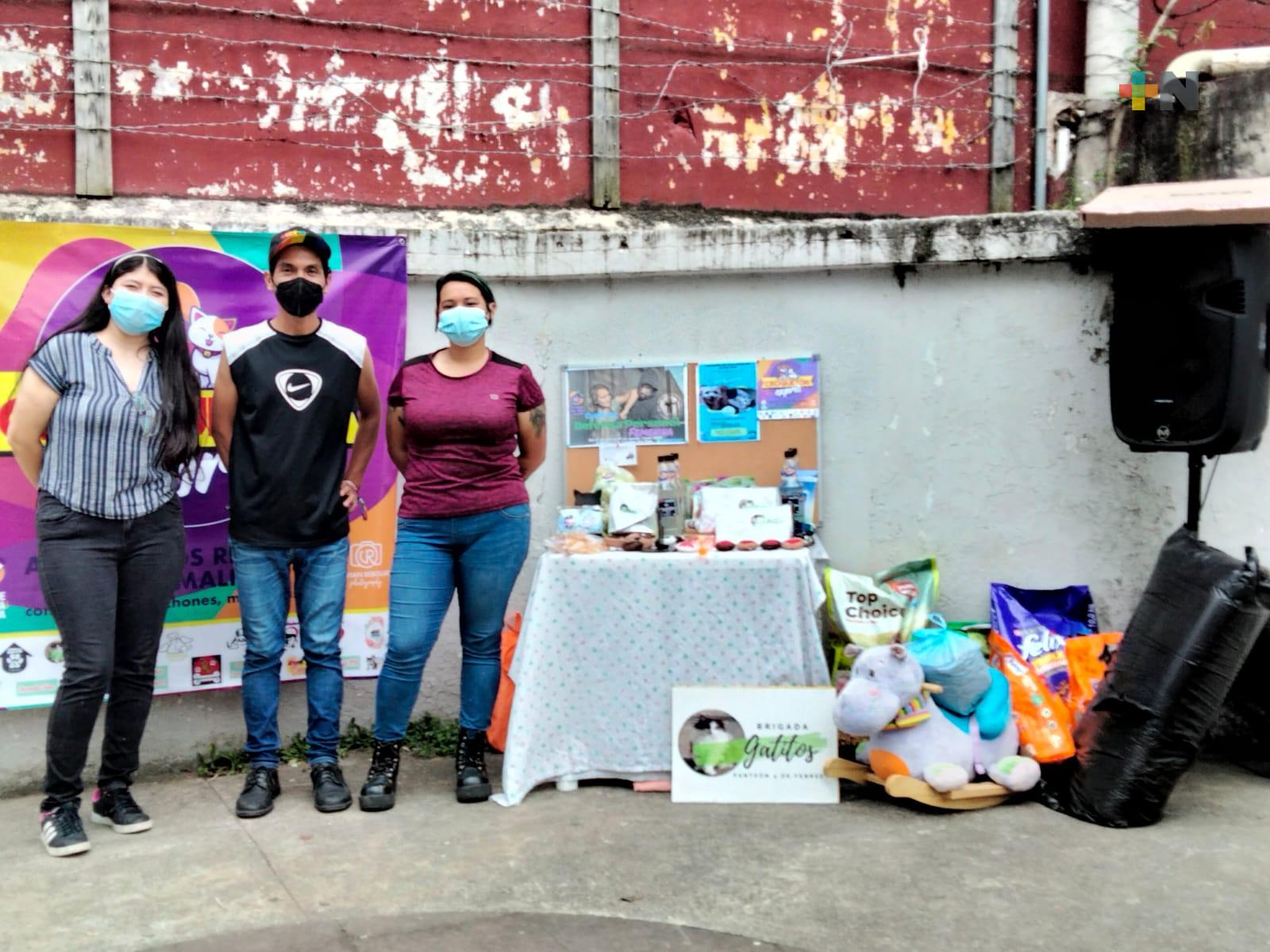 Piden donación de alimento para perros y gatos en el Croquetón Exprés, en Xalapa