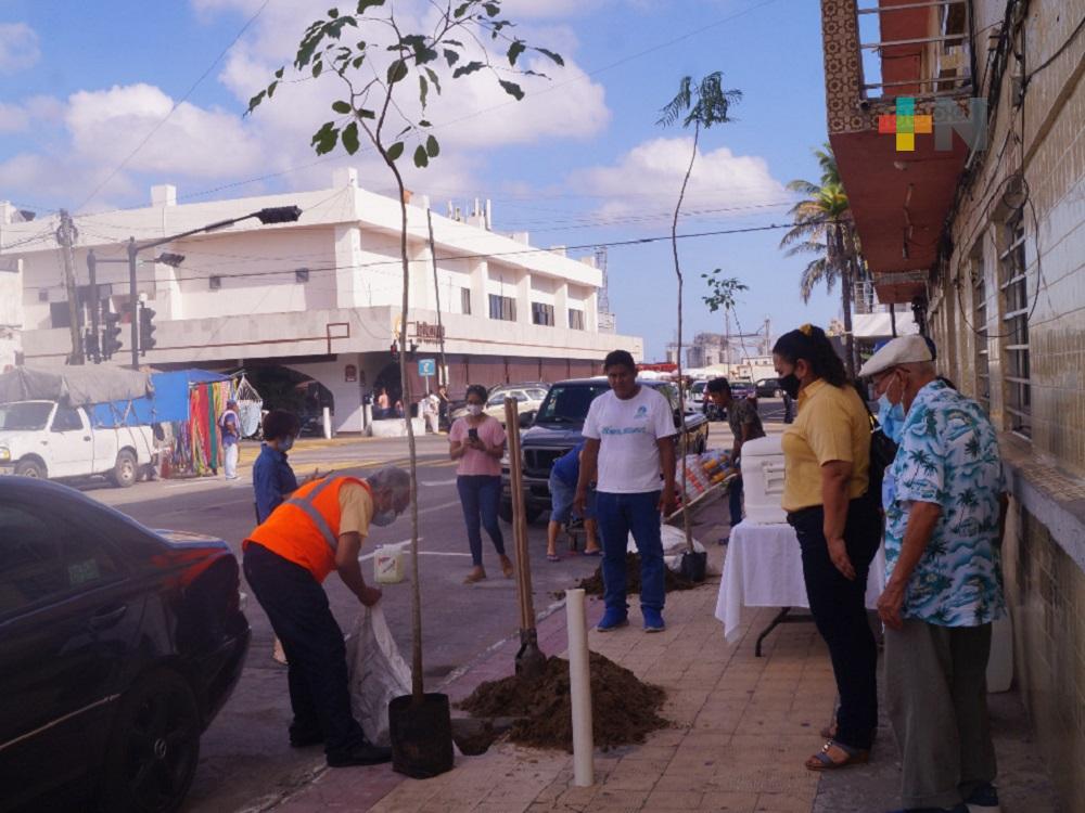 En municipio de Veracruz, inició siembra de árboles en la zona cercana del malecón