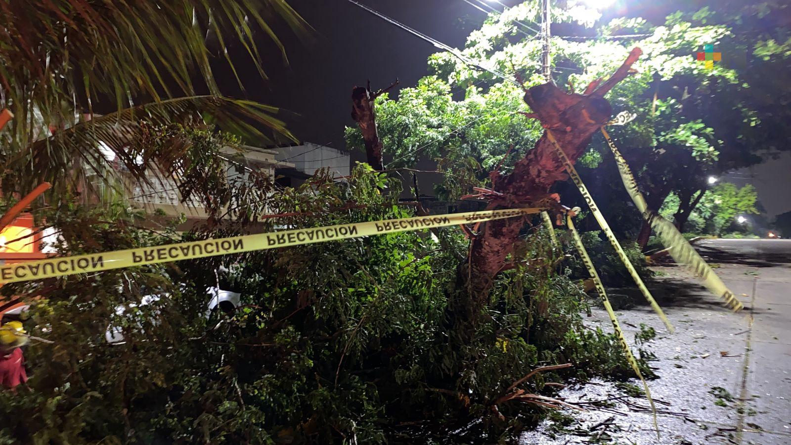Tormenta provocó caída de árboles y corte de electricidad, en Coatzacoalcos