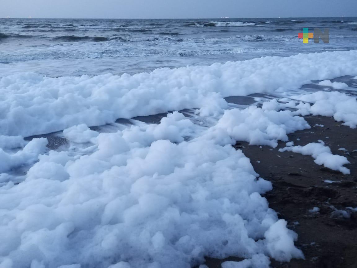 Inusual fenómeno de espuma de mar en Coatzacoalcos llamó la atención de porteños