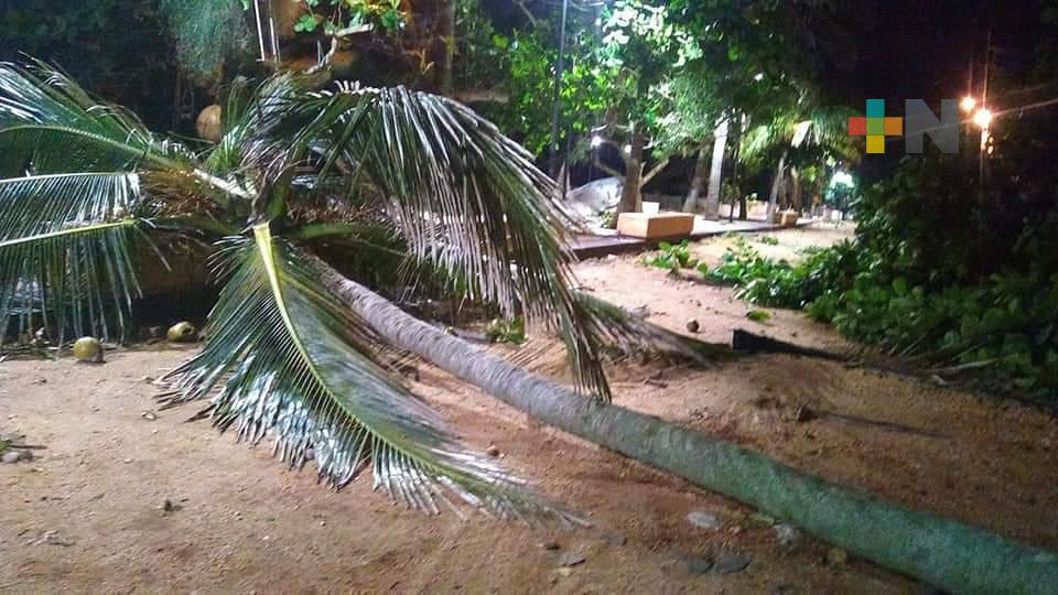 Casas destechadas en Villa Allende por tormenta