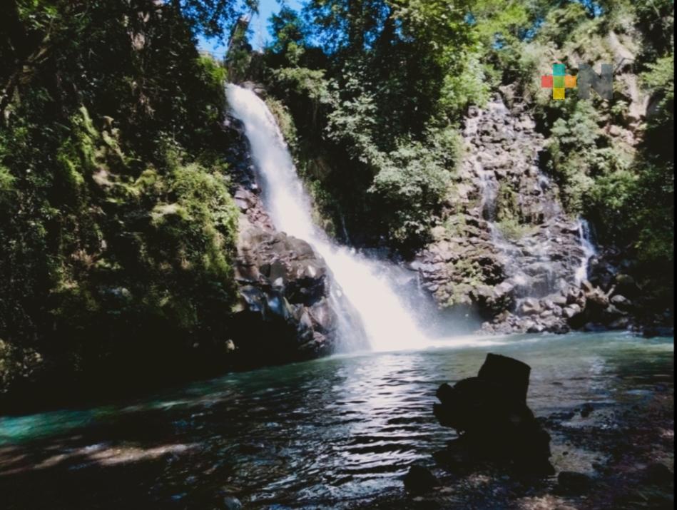 Limpieza y reforestación en márgenes del Río Sedeño, tarea que mantienen vecinos de la zona