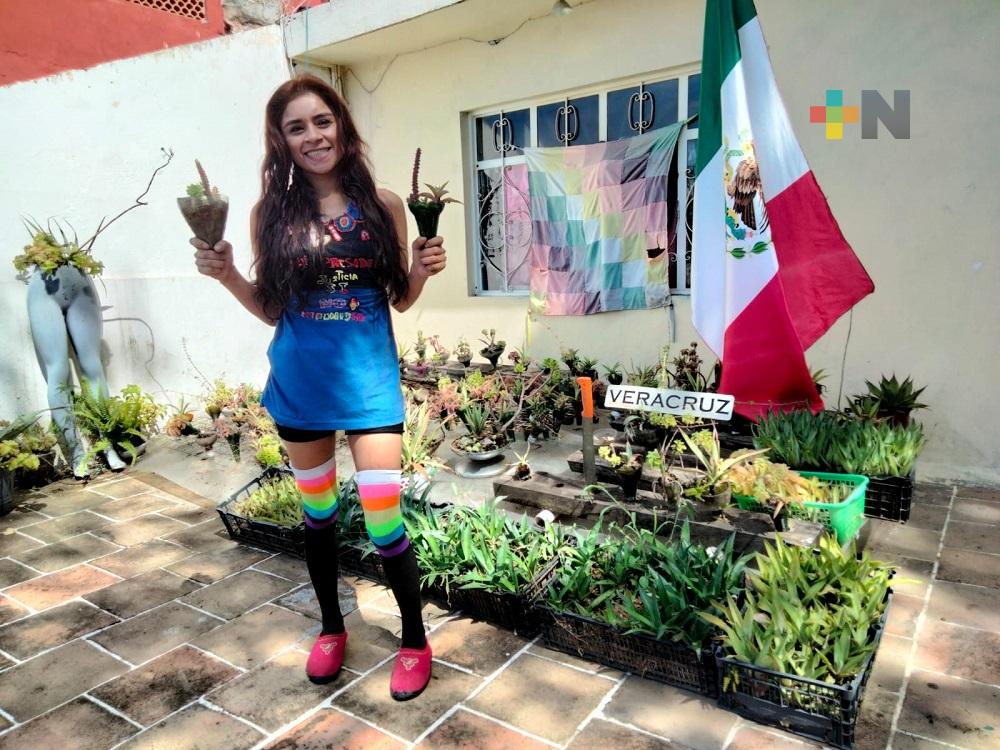 Jóvenes en Xalapa regalarán magueyes a quienes participen en Consulta Popular