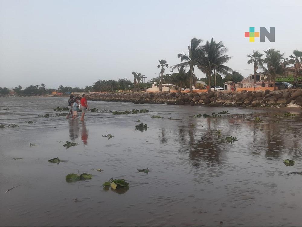 Fuerza gravitacional de la luna y su cercanía con la tierra provocaron la marea baja de río Coatzacoalcos