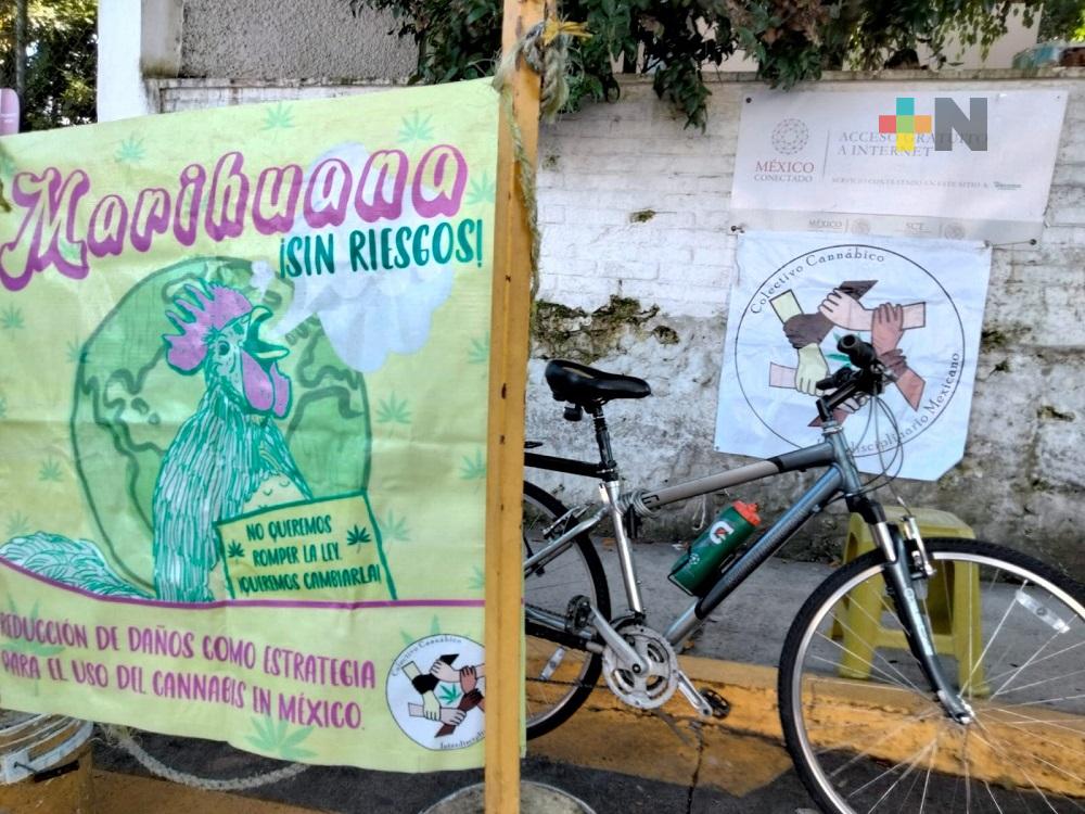 Usuarios y consumidores de cannabis piden acelerar proceso de regulación para uso recreativo y medicinal