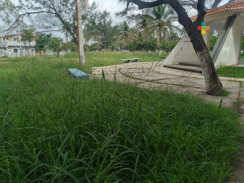 Colonos exigen mantenimiento en parque Los Pinitos del municipio de Veracruz