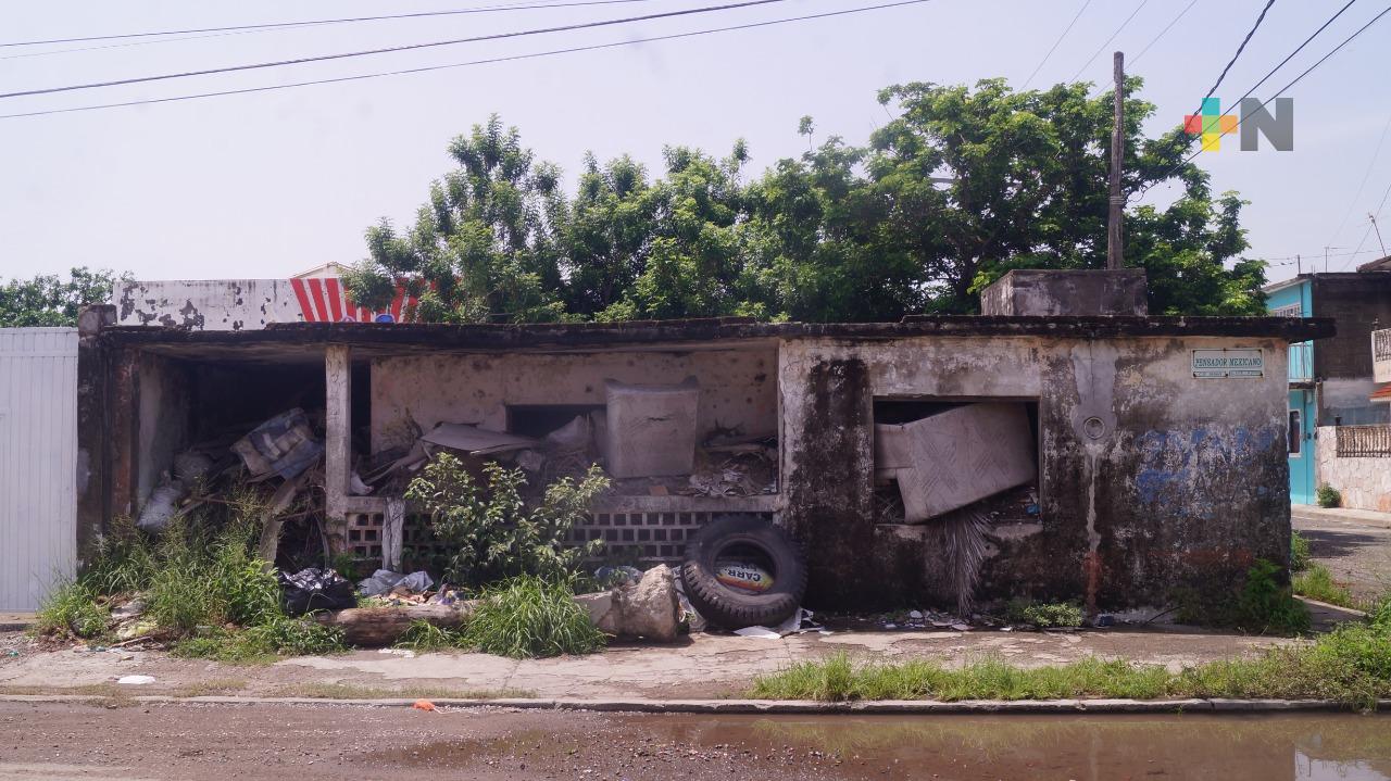 Piden atender problemas de basura e inundación de calles de colonia Miguel Ángel de Quevedo, en Veracruz